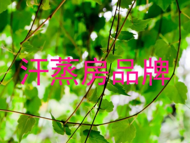 汗蒸房品牌