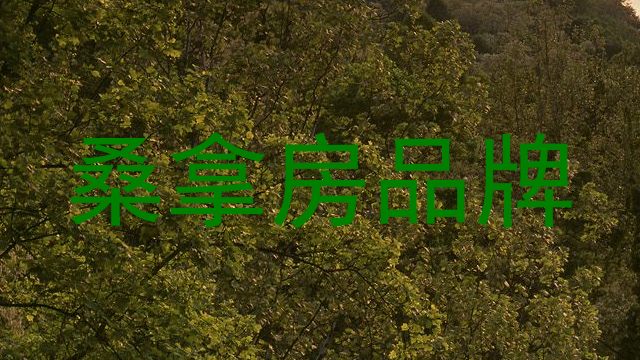 桑拿房品牌