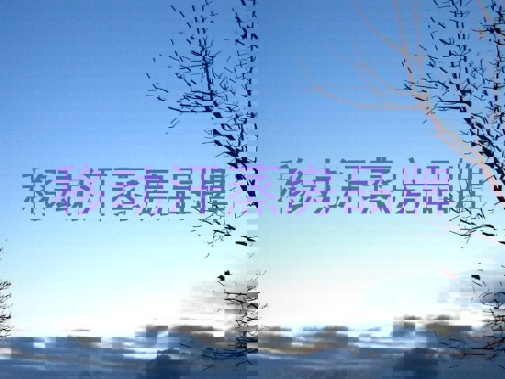 移动汗蒸房品牌