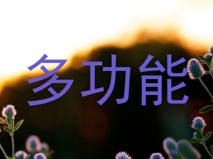 多功能