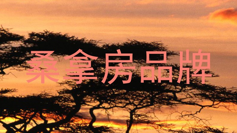 桑拿房品牌