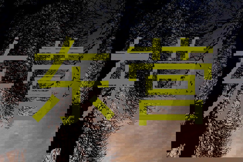 东营