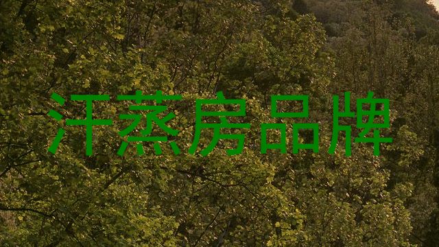 汗蒸房品牌