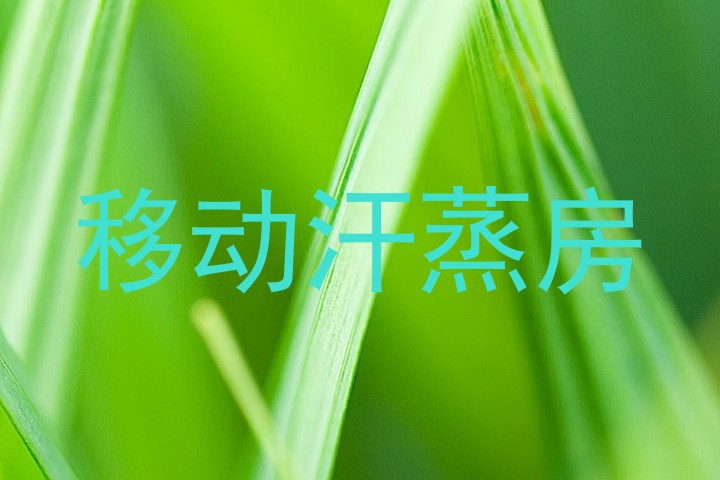移动汗蒸房