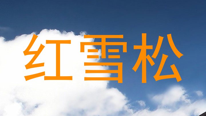 红雪松