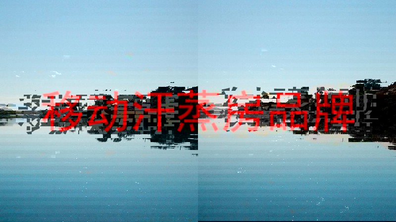移动汗蒸房品牌
