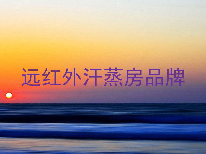 远红外汗蒸房品牌