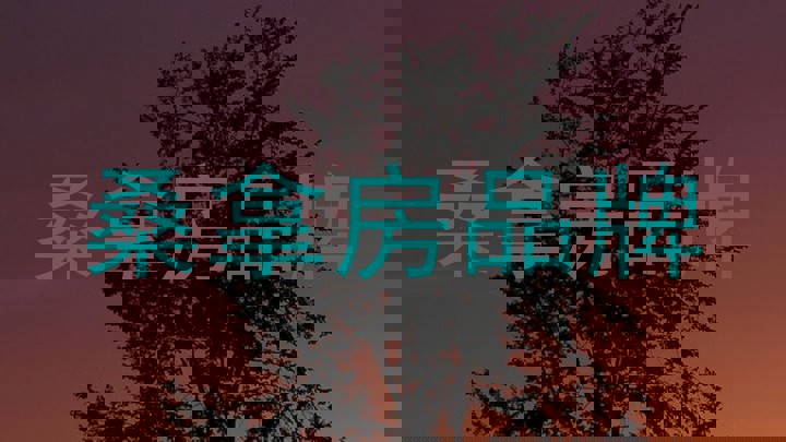 桑拿房品牌