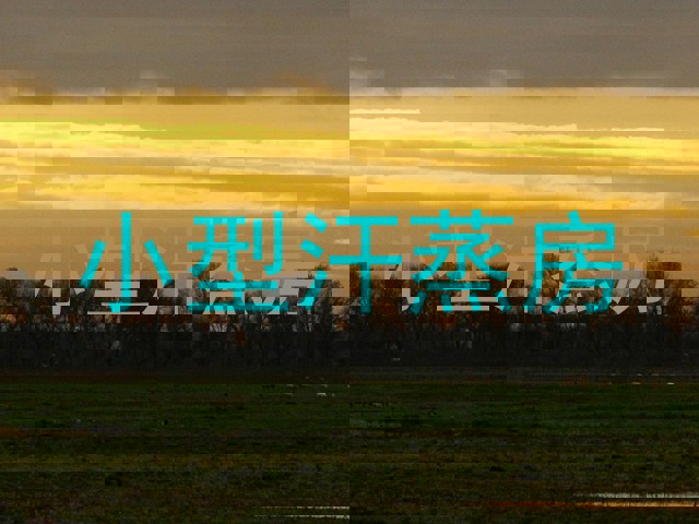 小型汗蒸房