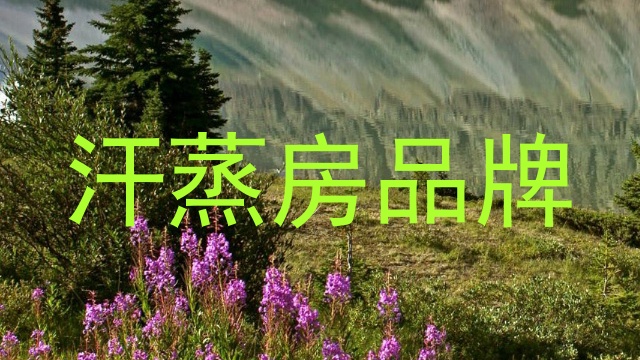 汗蒸房品牌