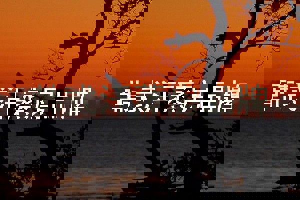 韩式汗蒸房品牌