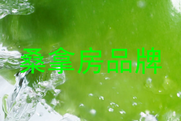 桑拿房品牌