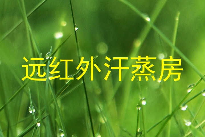 远红外汗蒸房