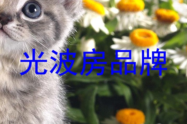 光波房品牌
