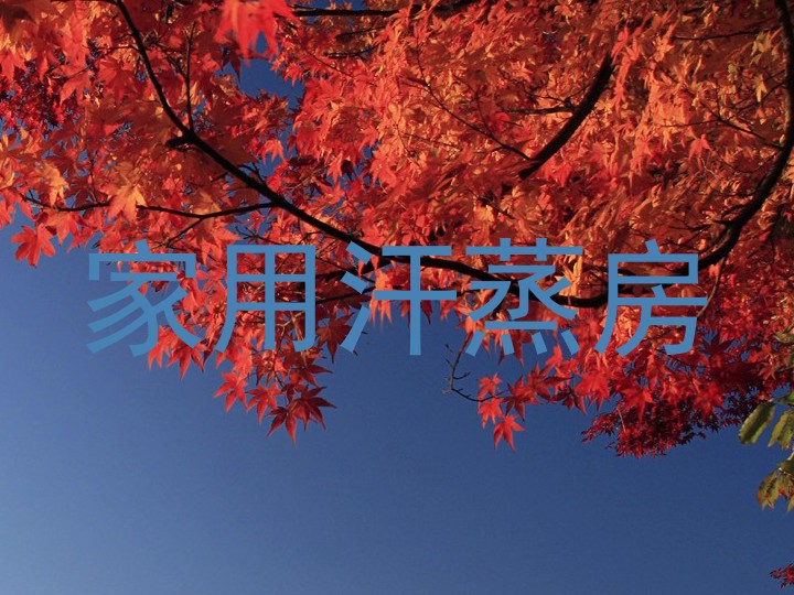 家用汗蒸房
