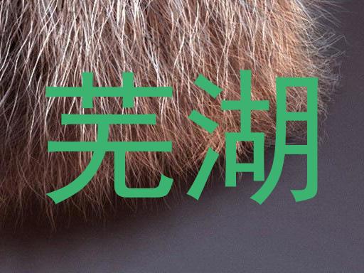 芜湖