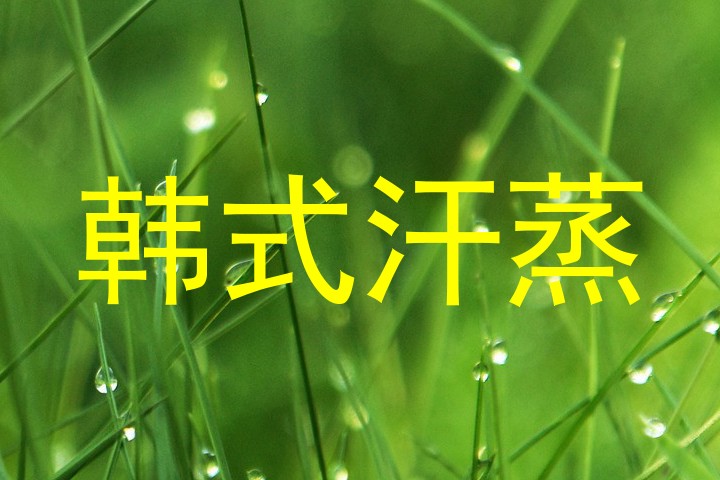 韩式汗蒸