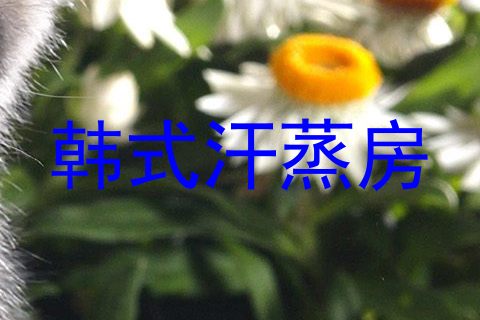 韩式汗蒸房