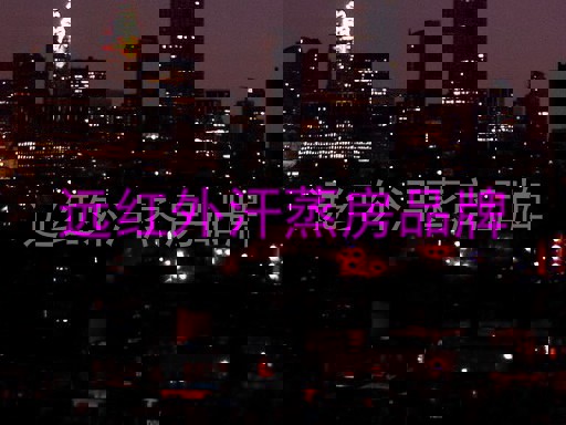 远红外汗蒸房品牌