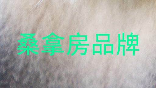 桑拿房品牌