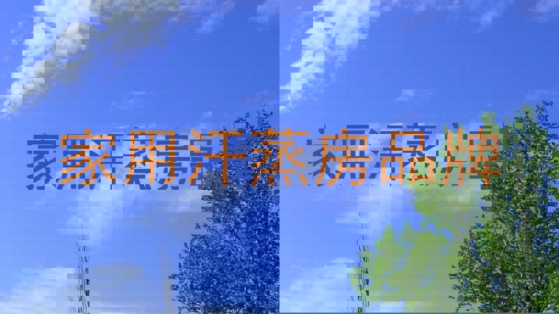 家用汗蒸房品牌