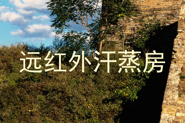 远红外汗蒸房