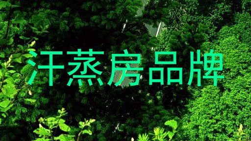 汗蒸房品牌