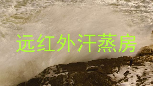 远红外汗蒸房