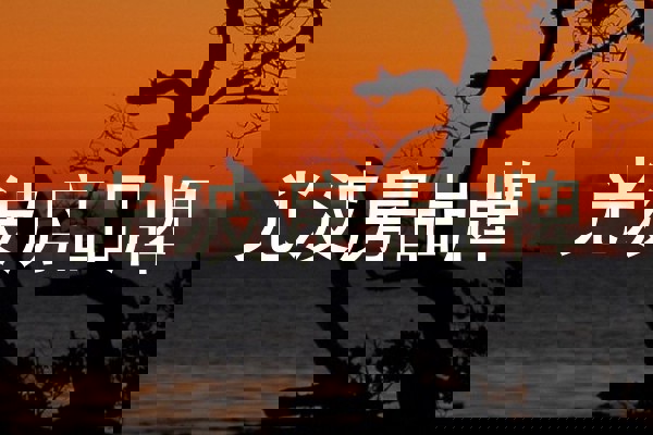 光波房品牌