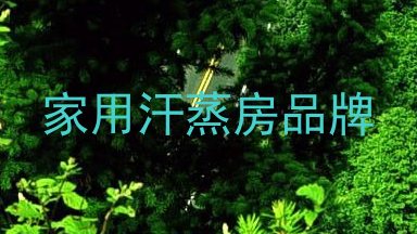 家用汗蒸房品牌