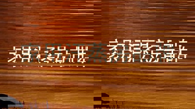 家用汗蒸房品牌