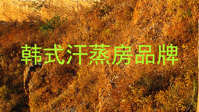 韩式汗蒸房品牌