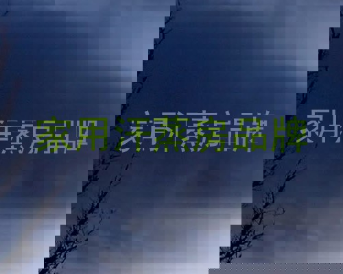 家用汗蒸房品牌