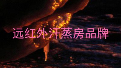 远红外汗蒸房品牌