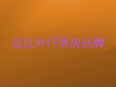 远红外汗蒸房品牌