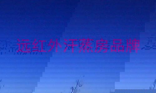 远红外汗蒸房品牌