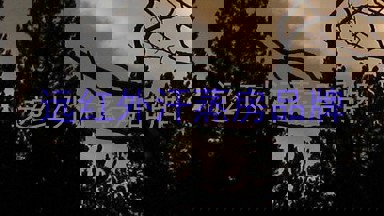 远红外汗蒸房品牌