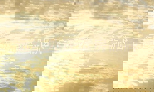 远红外汗蒸房品牌