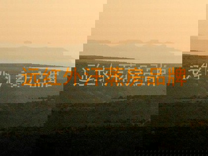 远红外汗蒸房品牌