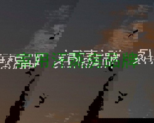 家用汗蒸房品牌