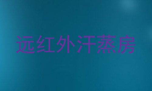 远红外汗蒸房