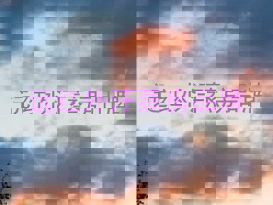 远红外汗蒸房品牌