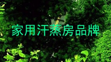 家用汗蒸房品牌