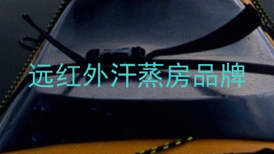 远红外汗蒸房品牌