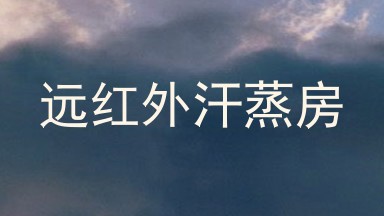 远红外汗蒸房