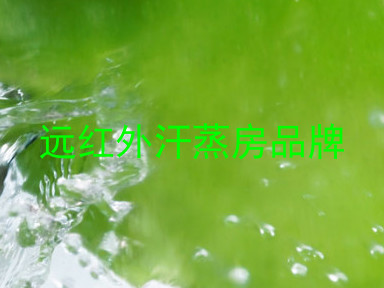 远红外汗蒸房品牌