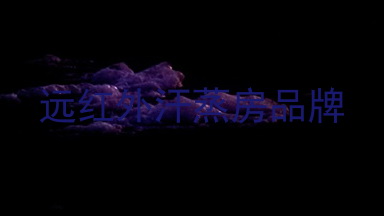 远红外汗蒸房品牌