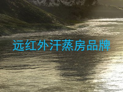 远红外汗蒸房品牌