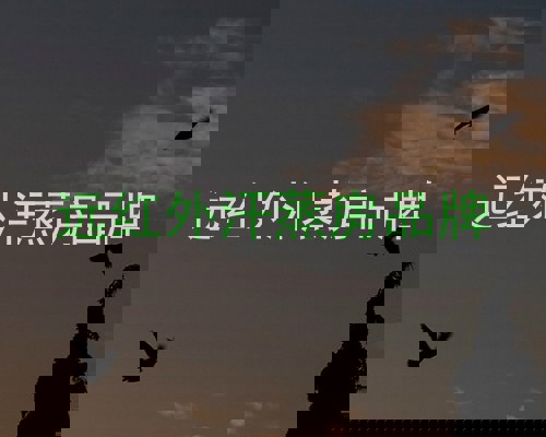 远红外汗蒸房品牌