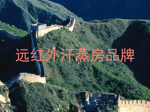 远红外汗蒸房品牌